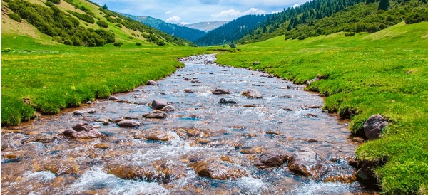 Source of water Streams