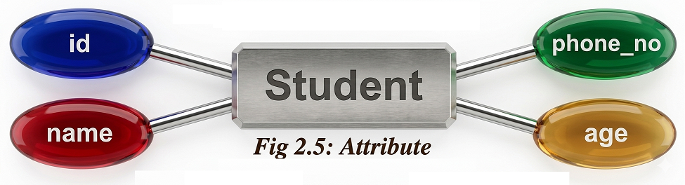 Attributes